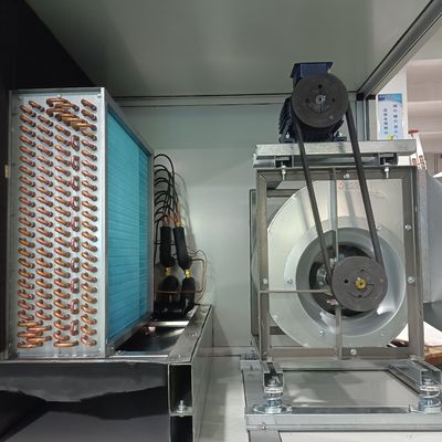 বড় ক্ষমতা নিম্ন শিশির পয়েন্ট ঘূর্ণনশীল Desiccant Dehumidifier খাদ্য পানীয় কারখানা জন্য অ স্ট্যান্ডার্ড কাস্টমাইজেশন